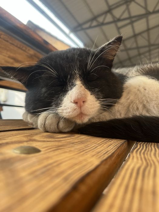 Скамейки и стол комплект