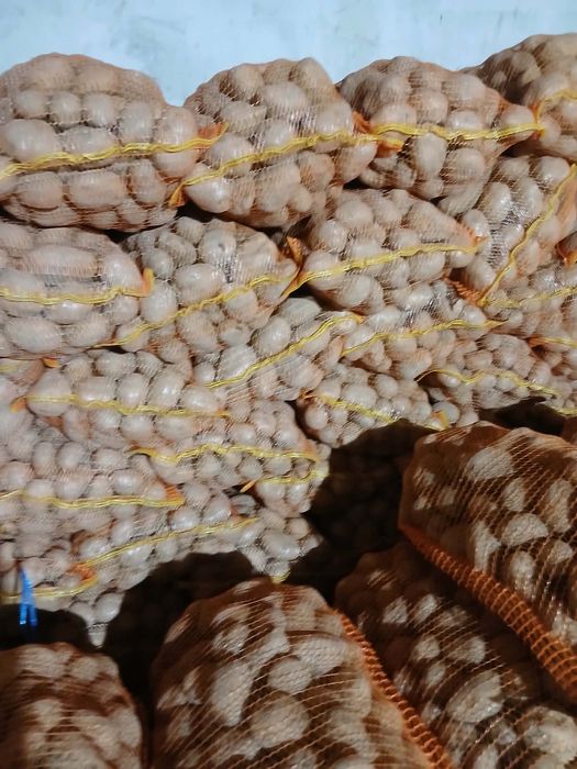 De vânzare cartofi agria