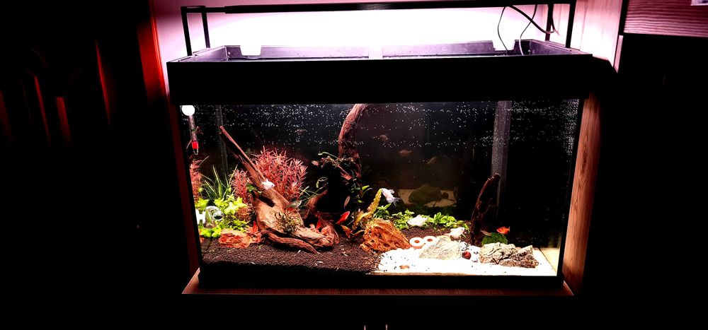 VAND URGENT!!!Acvariu 125l complet echipat