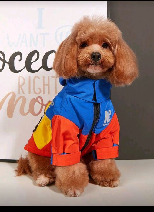 Зимно яке за куче