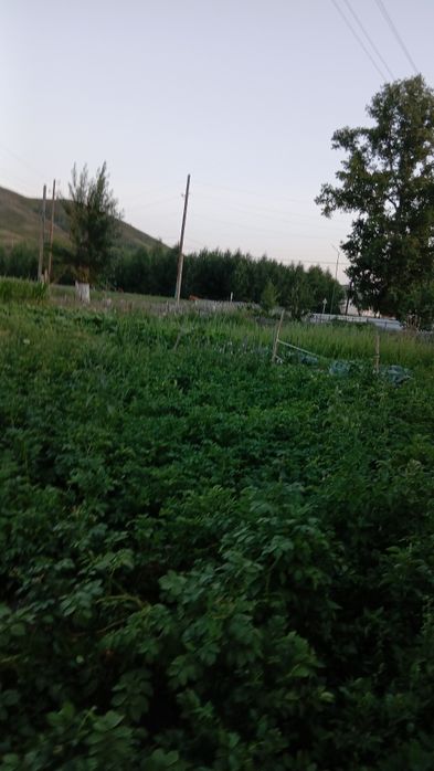 Продам дом в Весёловке