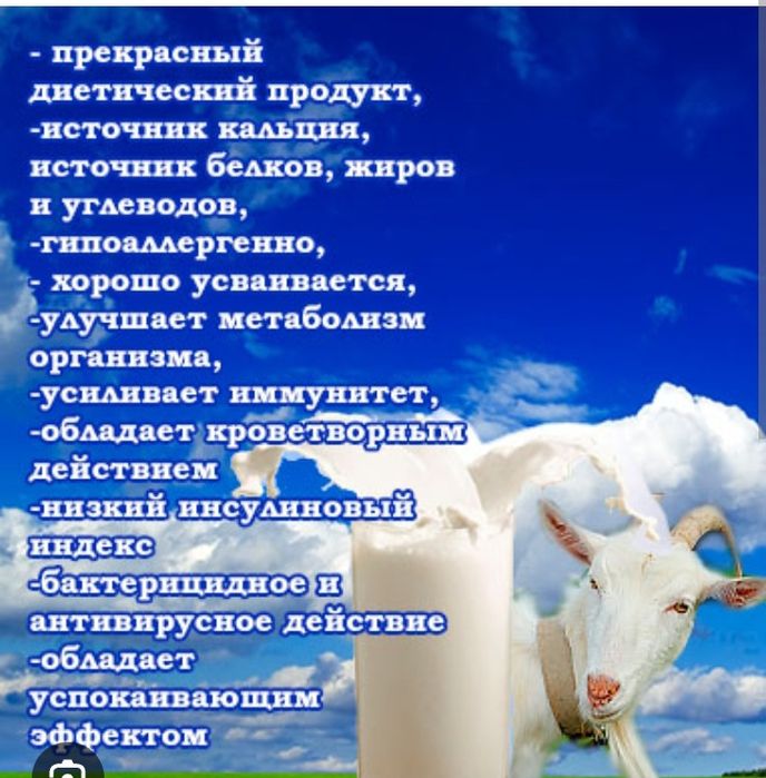 Ешкі сүті айраны. Козье молоко