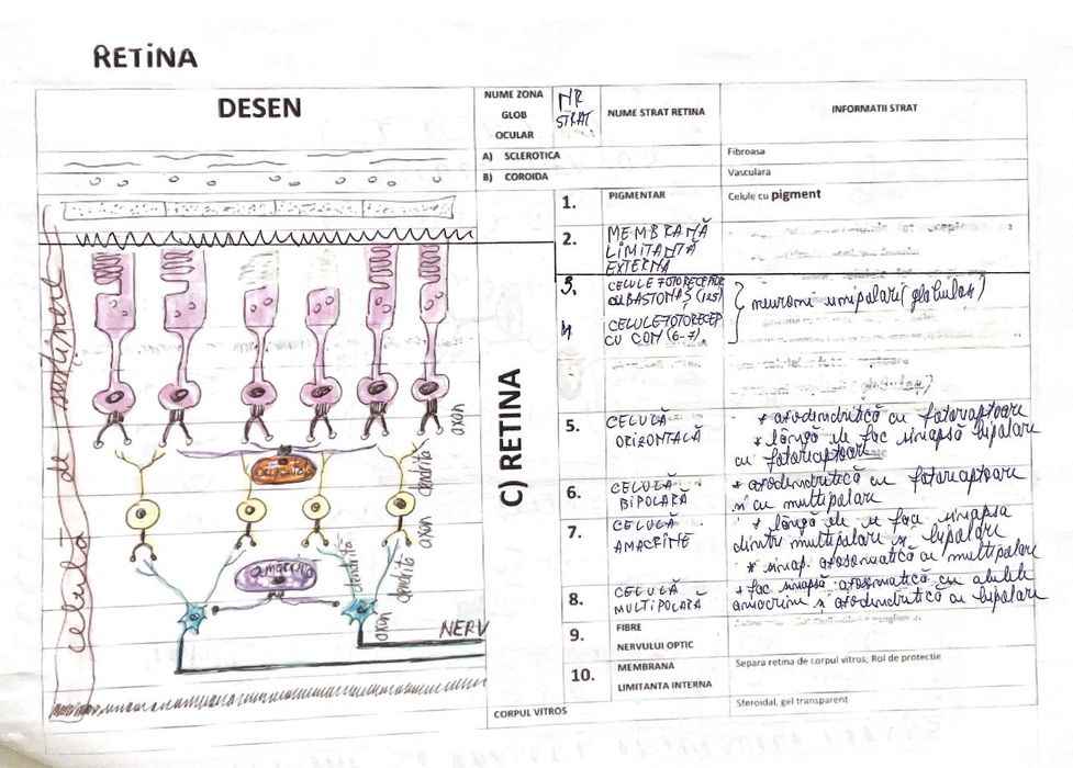 Vând materiale complete admitere Medicină UMFCD Biologie și Chimie