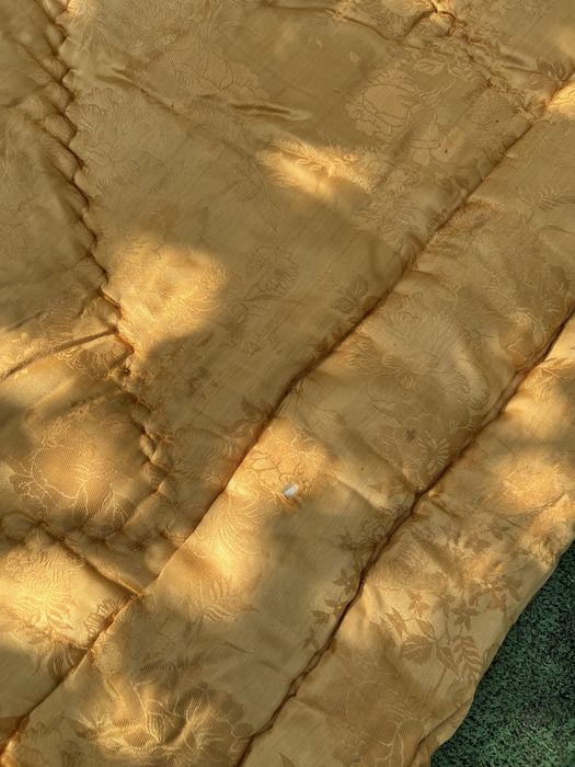 Plapuma / pilota cu melana