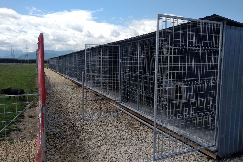 Scoala de Dresaj si Pensiunea Canina  K9Protection