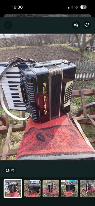acordeon weltmeister