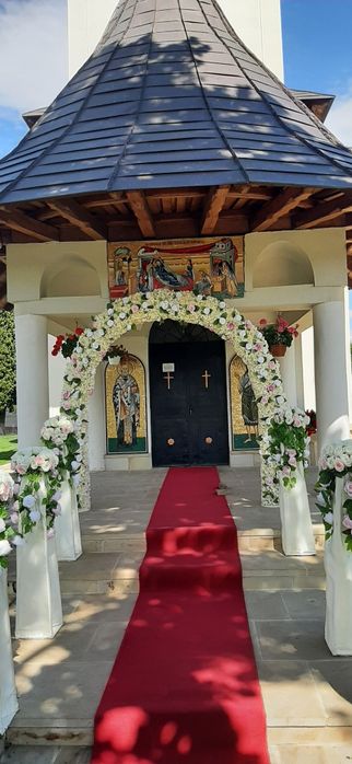 Porumbei albi pentru nunţi