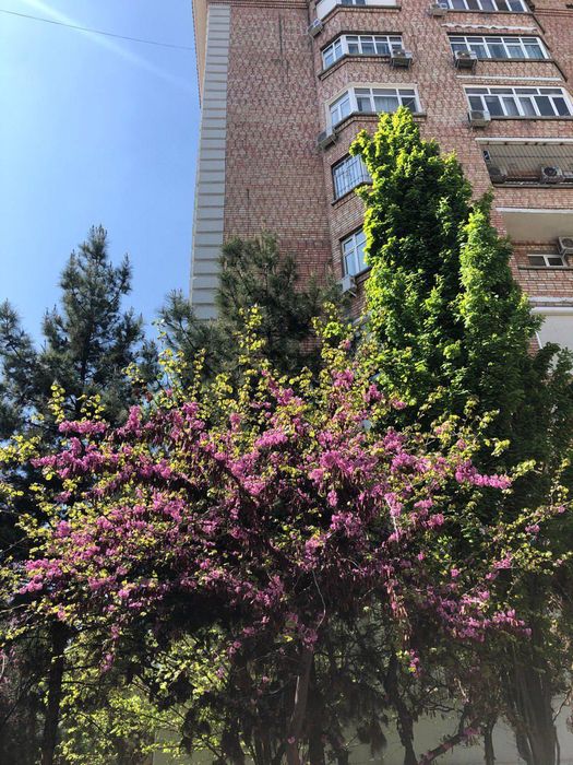 Коммерческое помещение