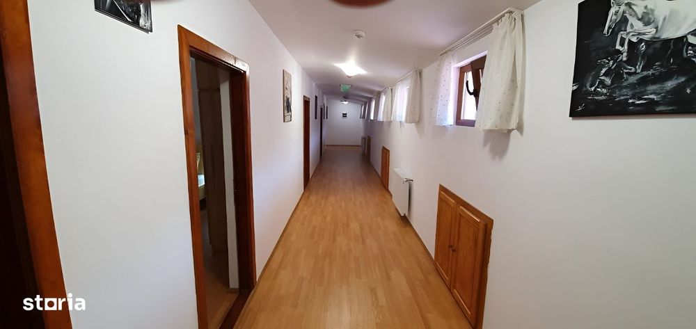 Pensiunea Sfanta Elena Berevoiesti