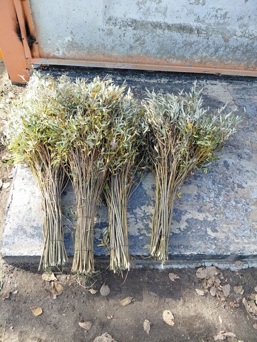 Продам веники и метёлки