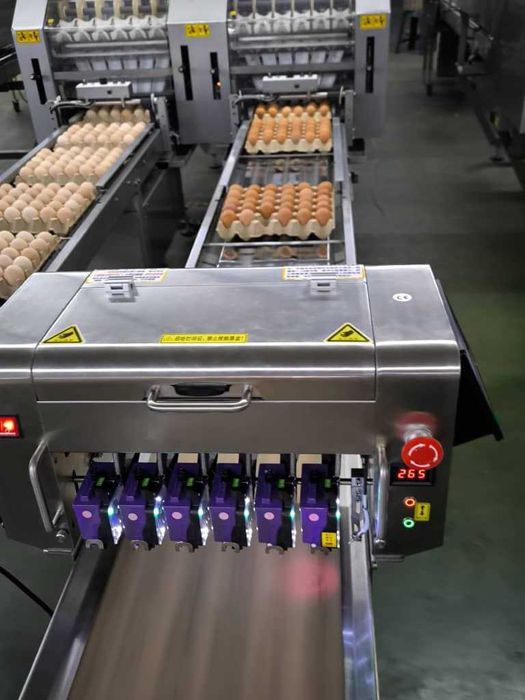 Маркиратор для яиц/ Тухумга маркиратор /