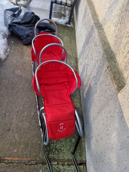 Sanie pentru doi copii