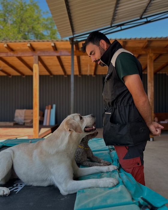 Dresaj Canin Cluj-Napoca