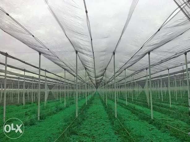 AntiPasari 16 g/m2 Dimensiunea gaurilor:  25x25 mm