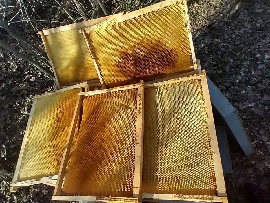 Rame stupi 1/1 cladite