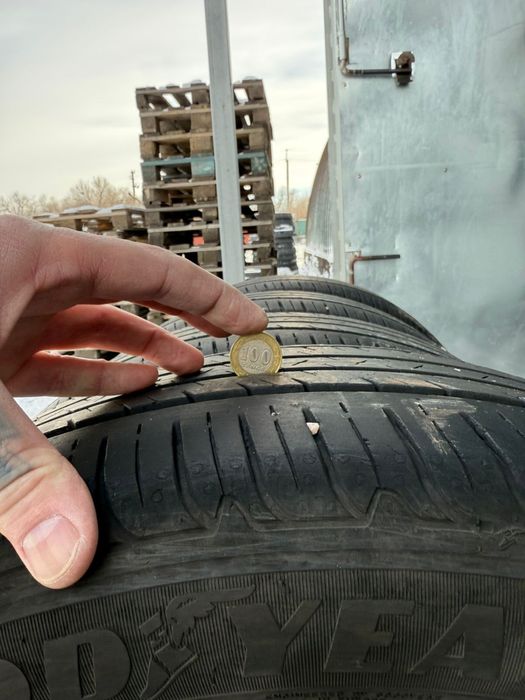 Летние шины Goodyear 225/55/19