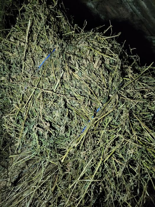 Vand baloti de lucerna