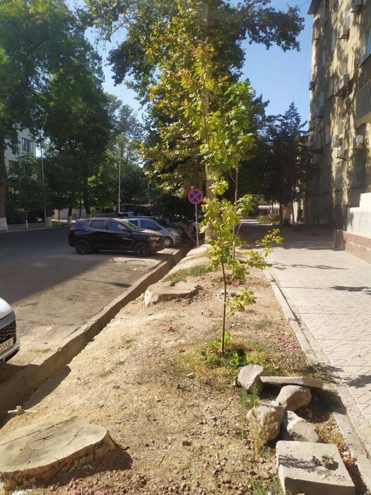 Ц-1 Кафе Студия нежилое помещение 346 кв.м средний ремонт срочно