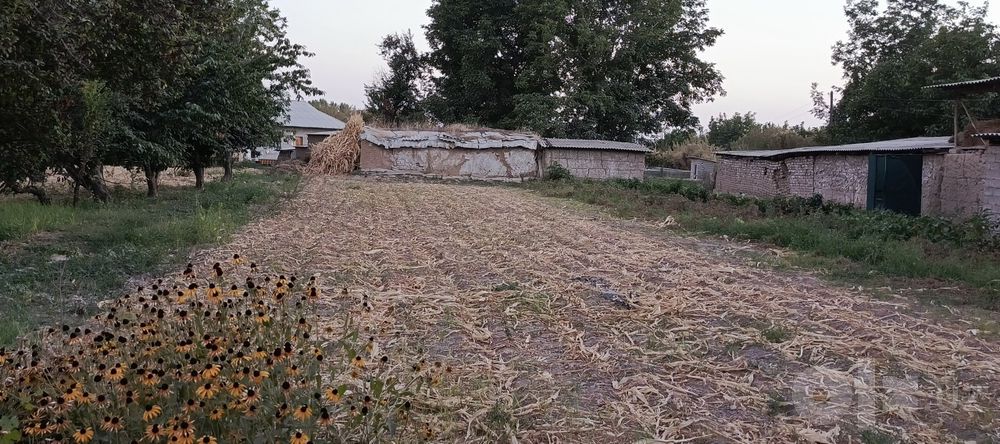 Hovli uy sotuladi