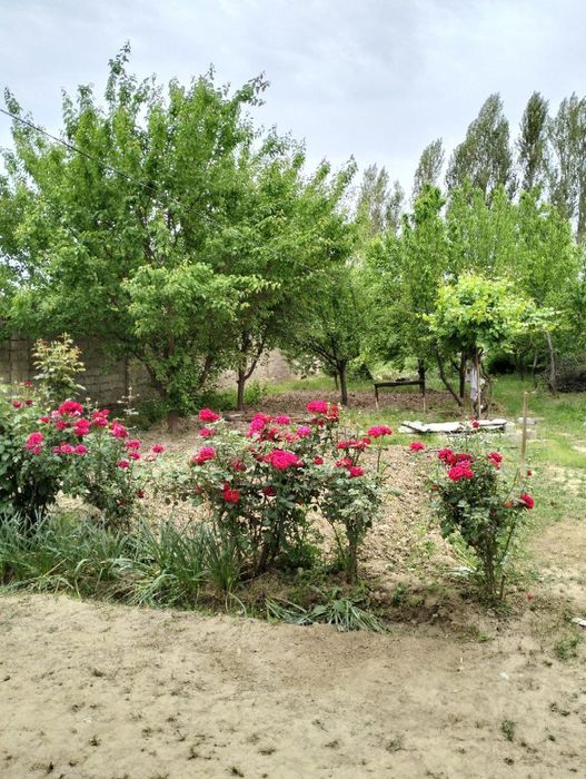 Участок 9 соток 5 комнаты (дом-коробка)