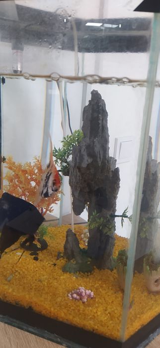 Продам аквариум на 40 л.