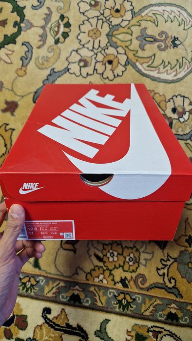 Оригинал Nike Air Pegasus 2005
