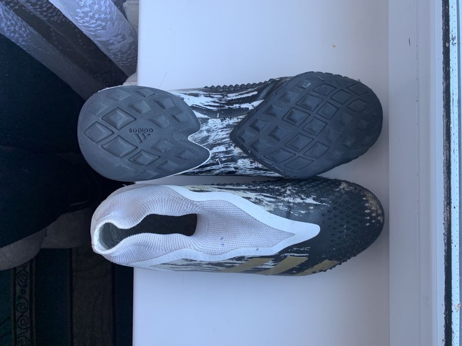 Продам сороканожки