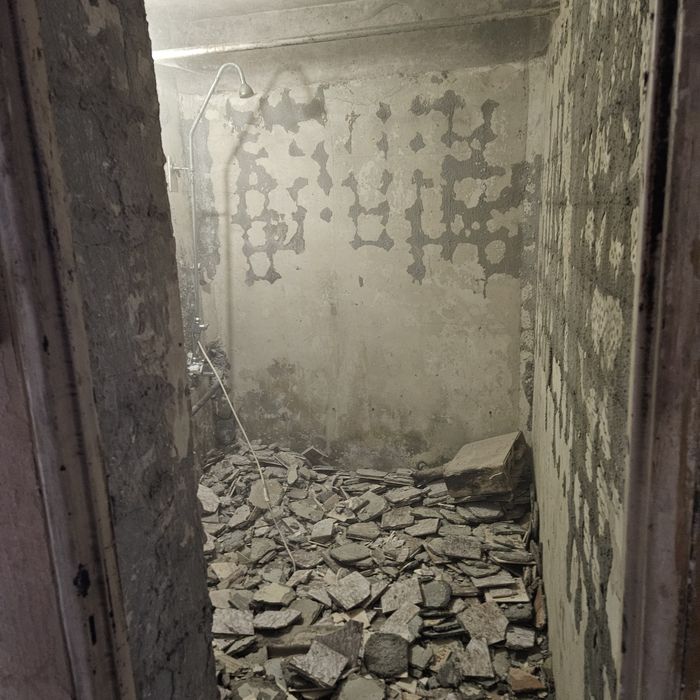 Кърти Чисти Извозва