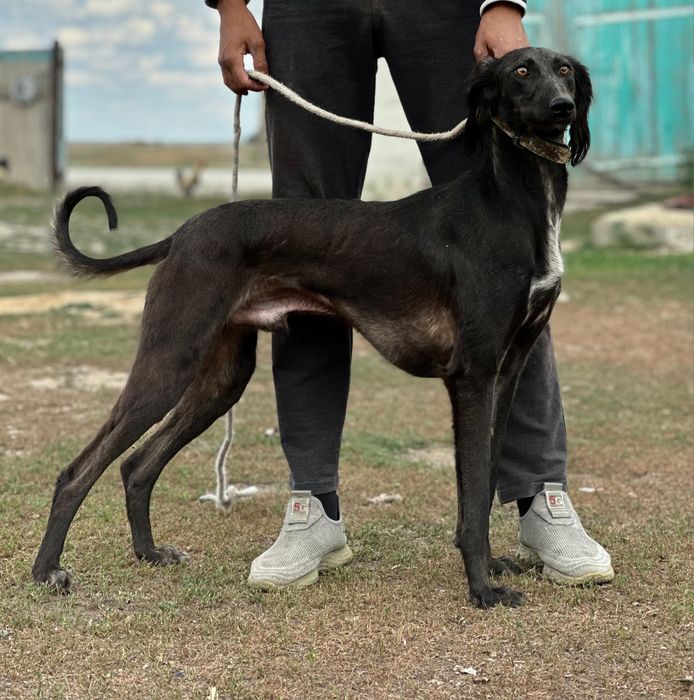 Арлан 3 жас                  .