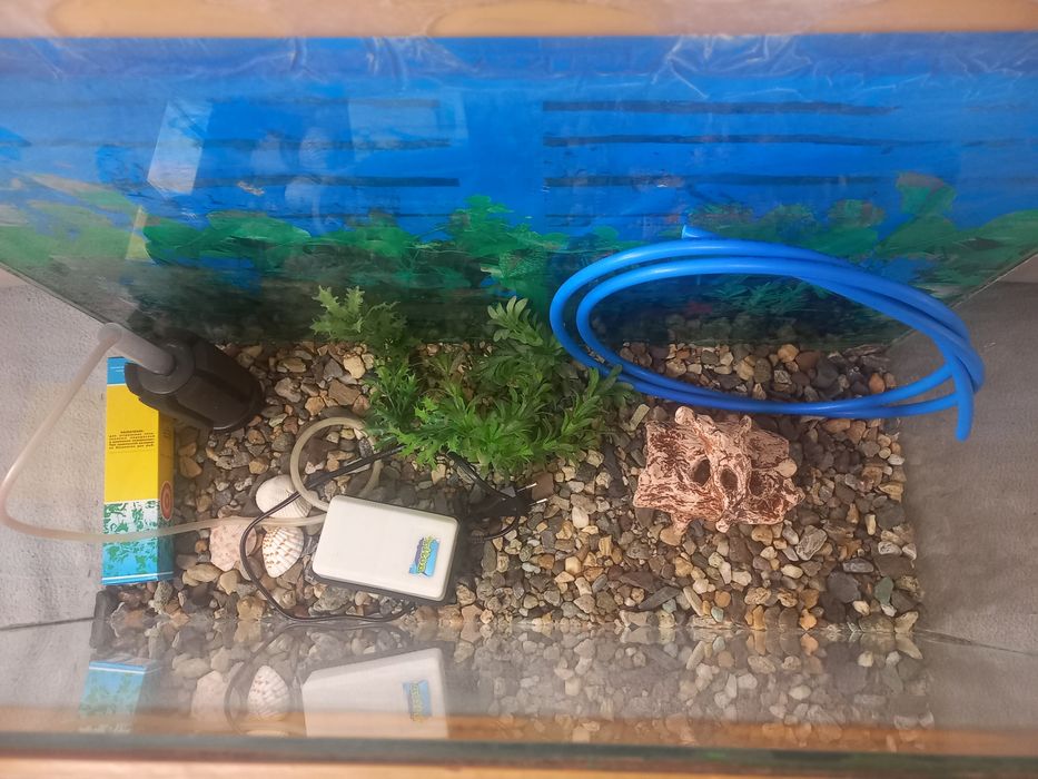 Пподам 50л аквариум