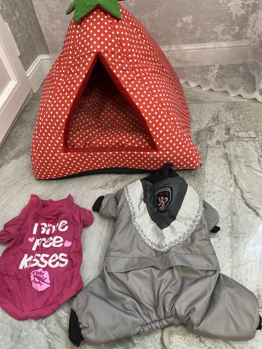 Одежда для собак