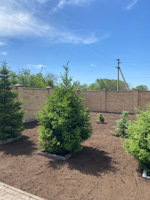 Благоустройство территории