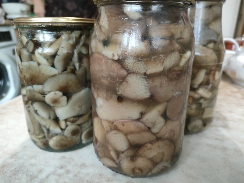 Продам соленые и маринованные грибы