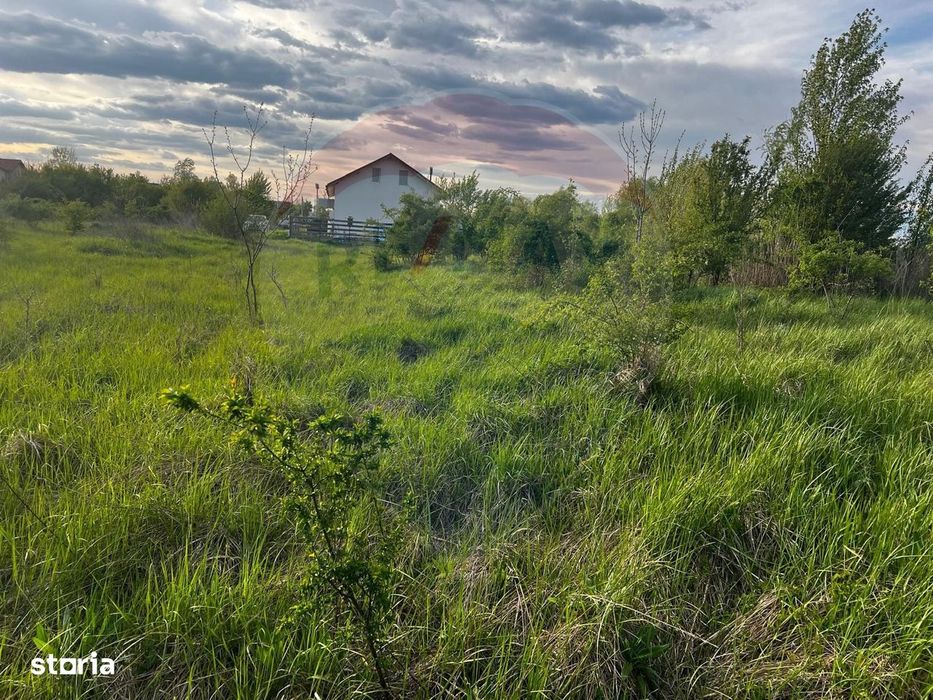 De vanzare | Teren intravilan 525mp in Teghes, comuna Domnesti, Ilfov