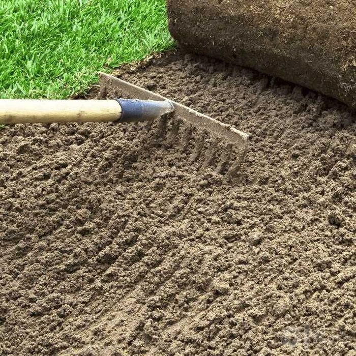 Посев микроклевера и клеверного газона под ключ. Декоративный клевер