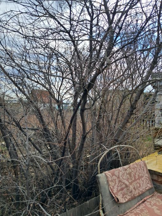 Продаётся дача ухоженная