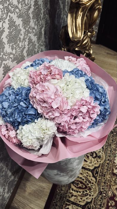 Цветы продам срочно