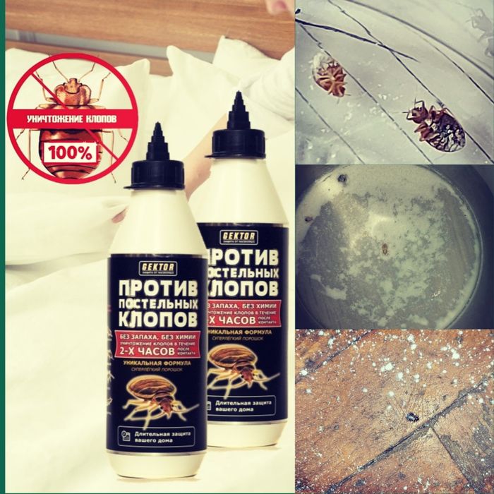 Gektor (Гектор) средство против постельных клопов, 100 г, 500 мл