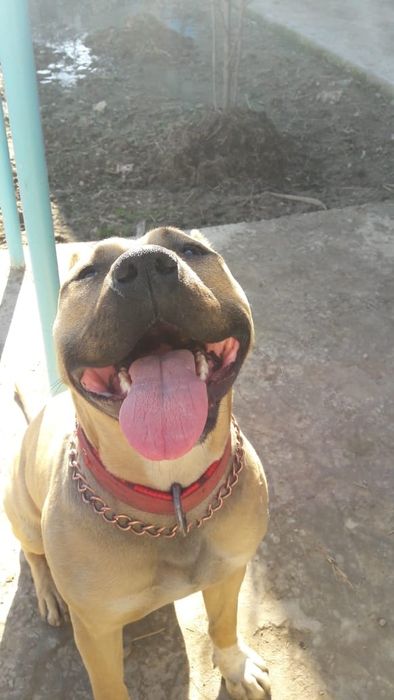 Обмен обмен обмен