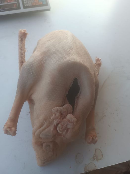 Очищенные Гуси и утки