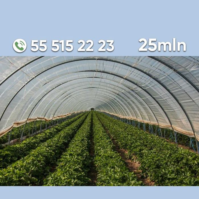 Koreya issiqxonalari va issiqxona uchun materiallar