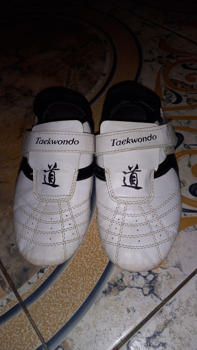 Соги для таеквандо