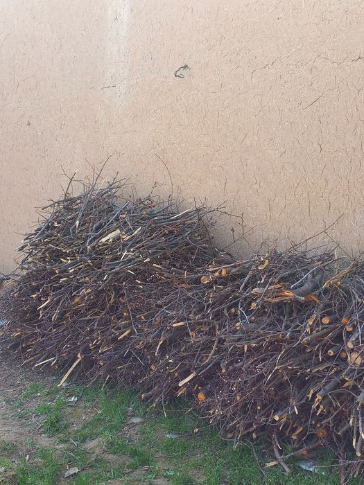 Утин  (дрова) дарахтники