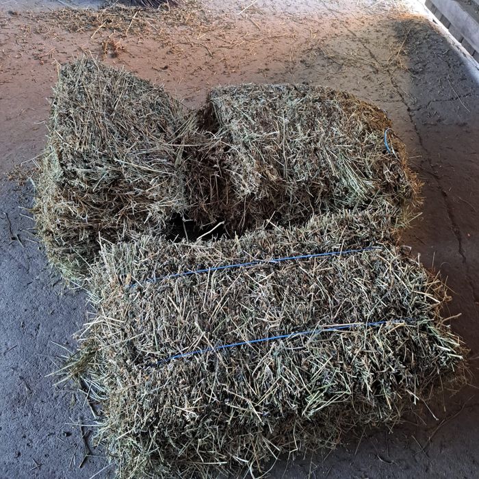 Vand baloti de lucerna