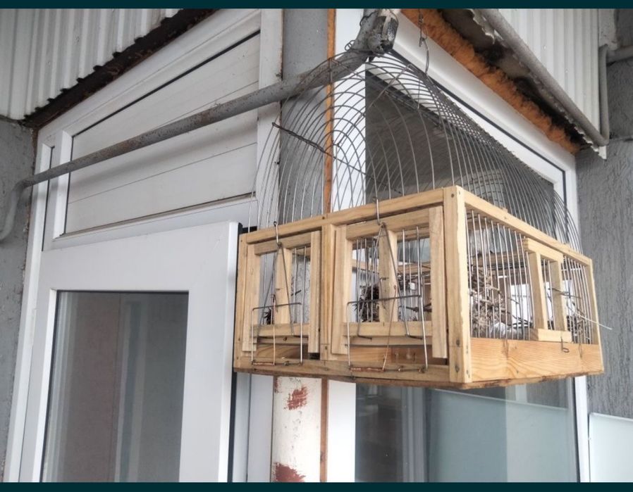 Продам клетку ловушку для щеглов