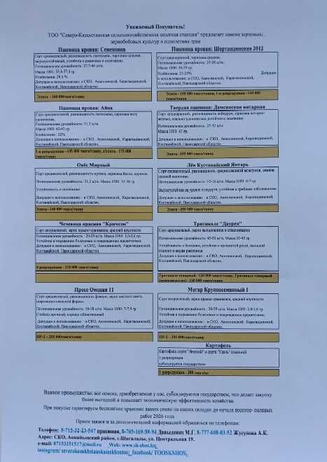 Продам семена чечевицы