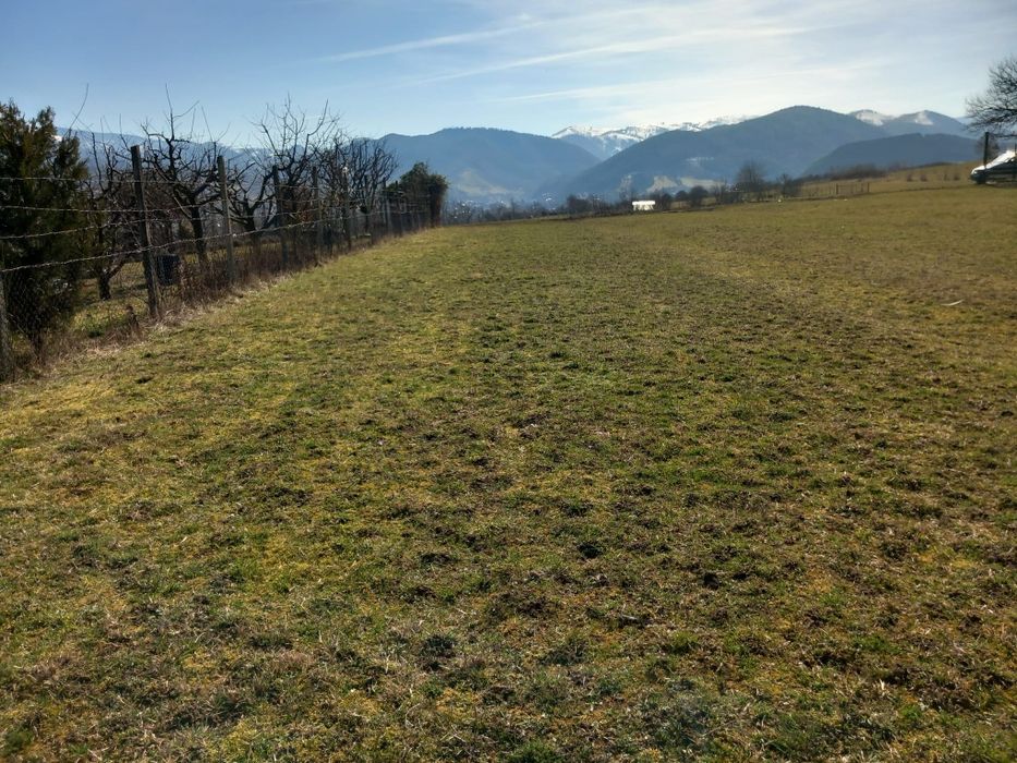 Teren extravilan Tropinii vechi