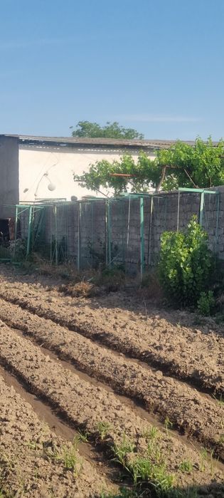 Продам тапчаны 9 шт