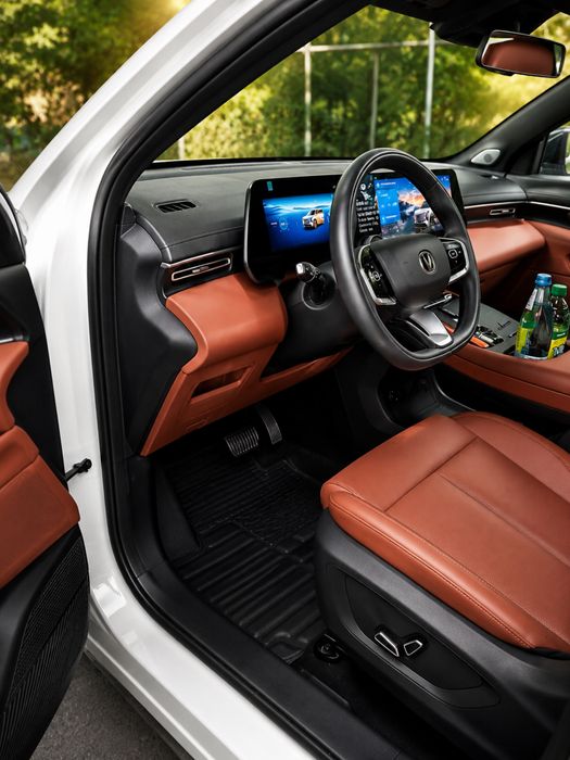 Полики Changan CS55 plus Распродажа