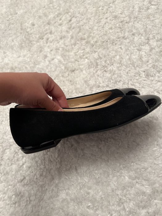 Balerini negrii HOGL